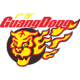 Guangdong Southern Tigers Logo