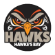 Bay Hawks Logo
