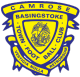 Basingstoke Logo