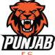 Punjab Logo