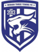 Wuhan Three Towns B Logo