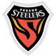 CLB Pohang Steelers Logo