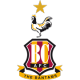Bradford City Logo