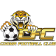 Tigers FC Logo