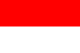 Indonesia U19 Logo
